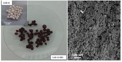 Bio-based Substances From Compost as Reactant and Active Phase for Selective Capture of Cationic Pollutants From Waste Water